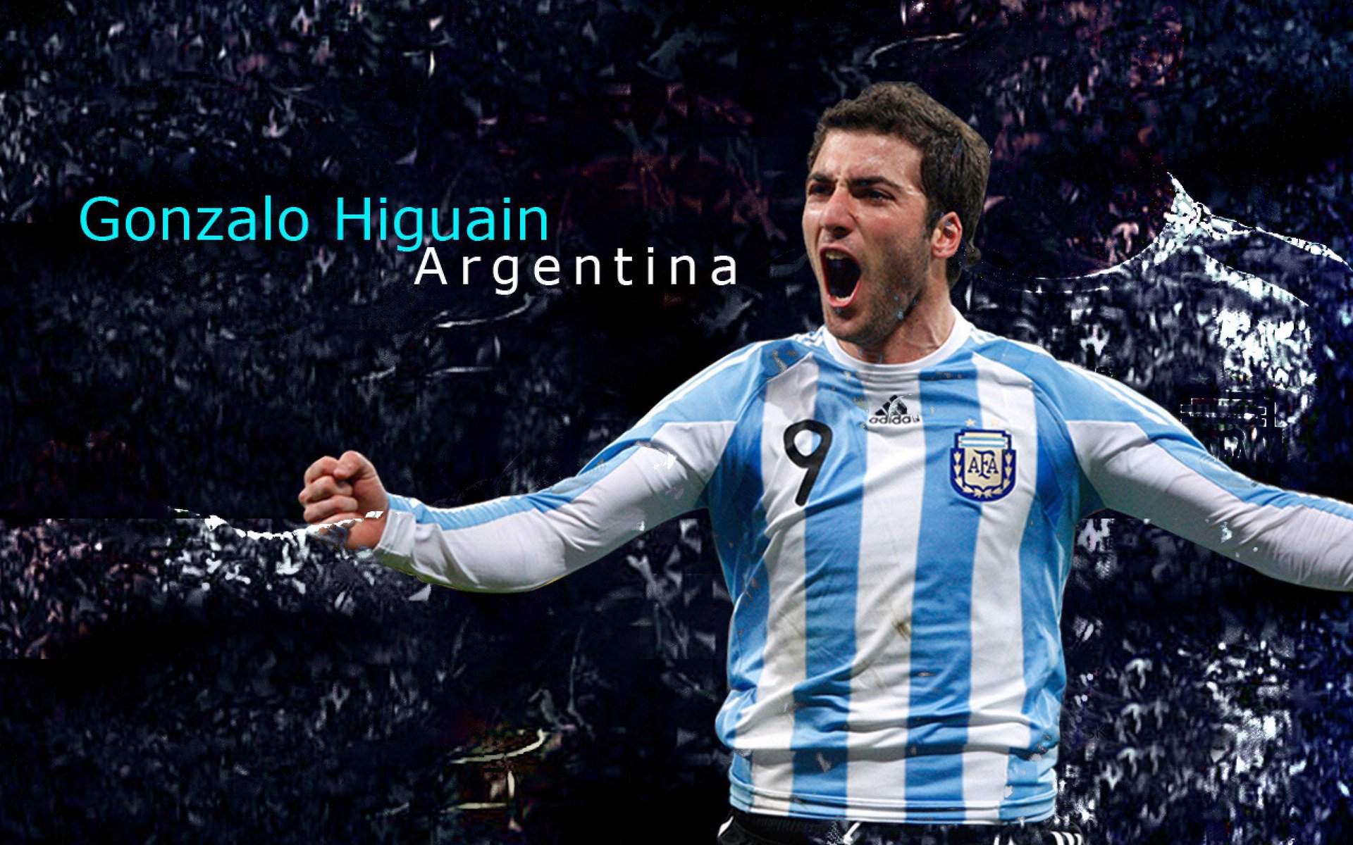 美洲杯星光璀璨：明星闪耀，全场狂欢！，美洲杯新人