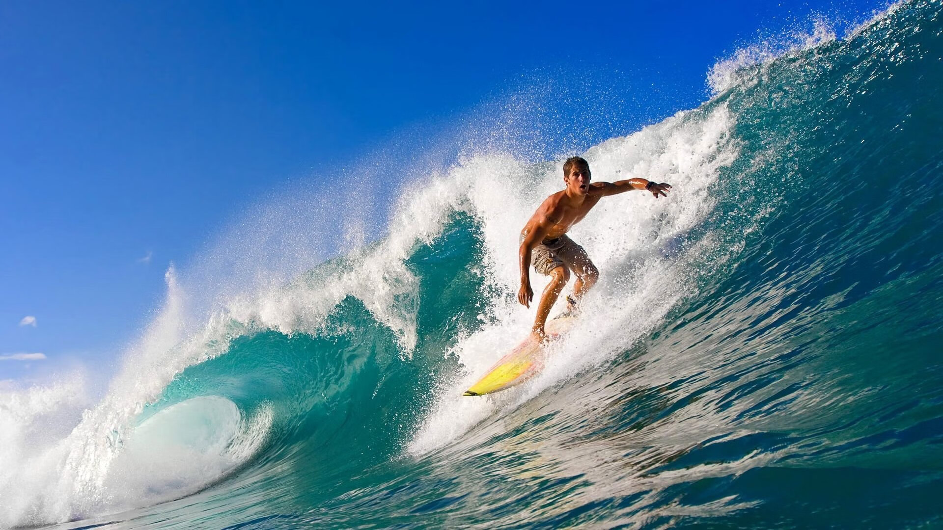 青年军崭露锋芒，冲击更高荣誉！，青年军口号