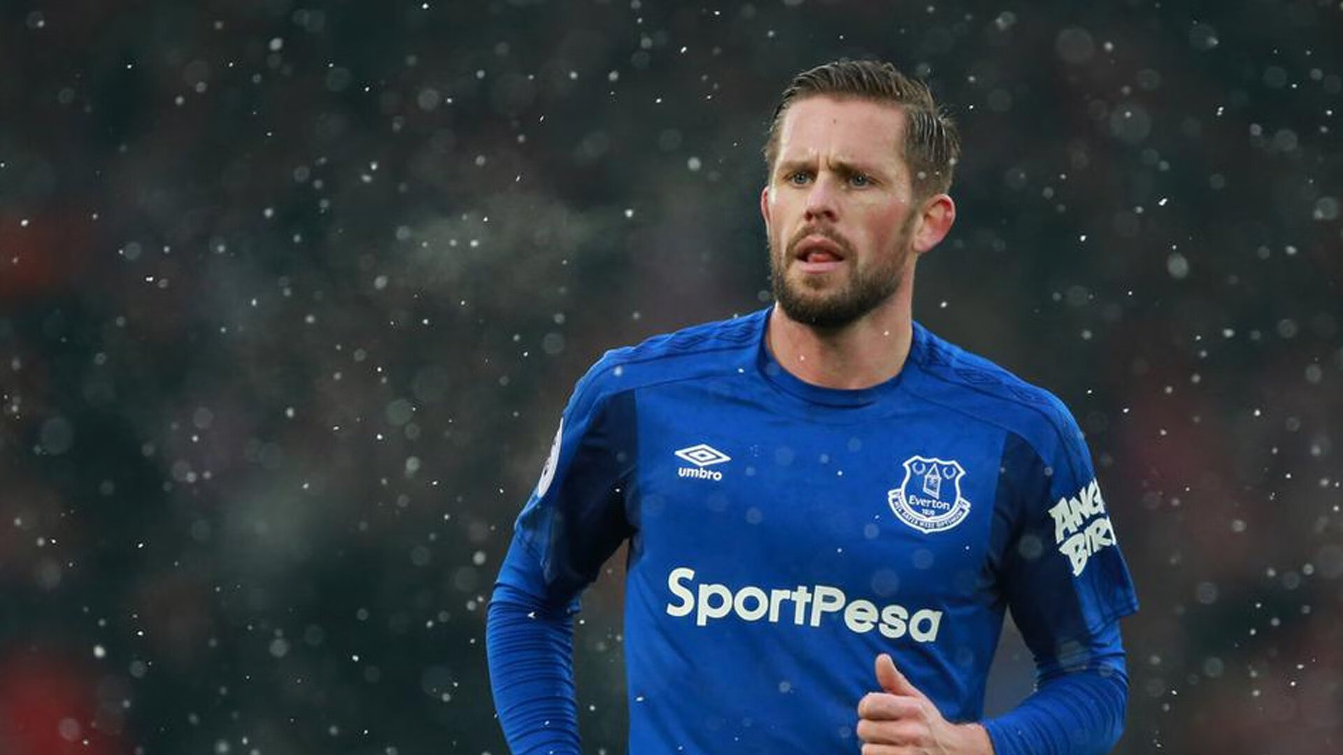 弗莱堡主场不败预警，多特需当心，弗莱堡对阵多特蒙德